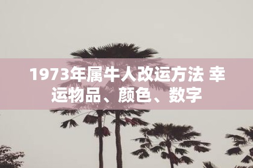 1973年属牛人改运方法 幸运物品、颜色、数字