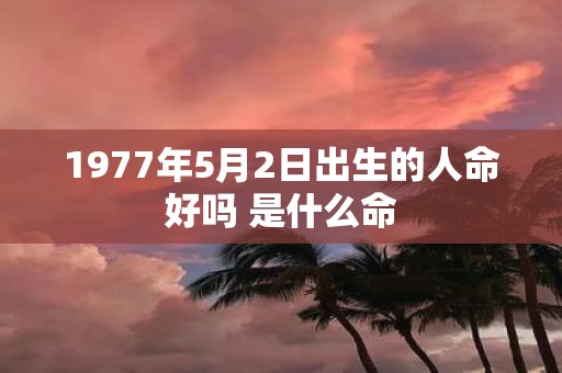 1977年5月2日出生的人命好吗 是什么命