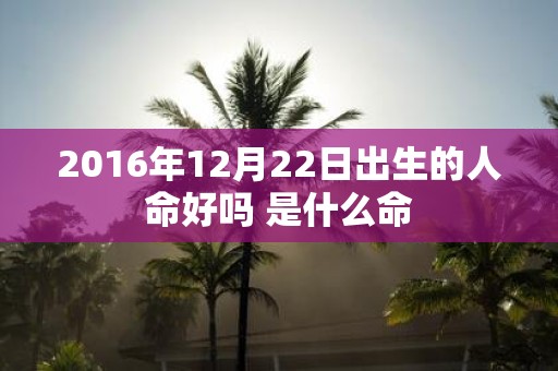 2016年12月22日出生的人命好吗 是什么命