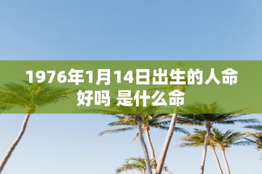 1976年1月14日出生的人命好吗 是什么命