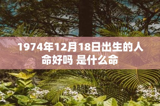 1974年12月18日出生的人命好吗 是什么命
