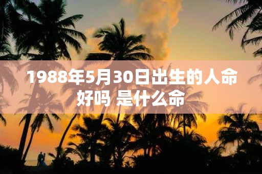 1988年5月30日出生的人命好吗 是什么命