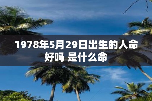 1978年5月29日出生的人命好吗 是什么命