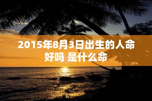 2015年8月3日出生的人命好吗 是什么命