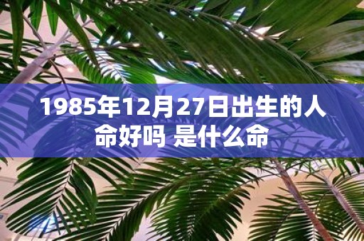 1985年12月27日出生的人命好吗 是什么命