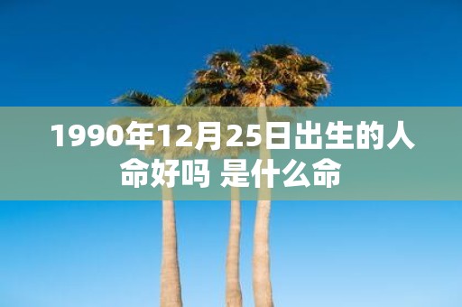 1990年12月25日出生的人命好吗 是什么命