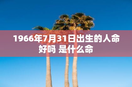 1966年7月31日出生的人命好吗 是什么命