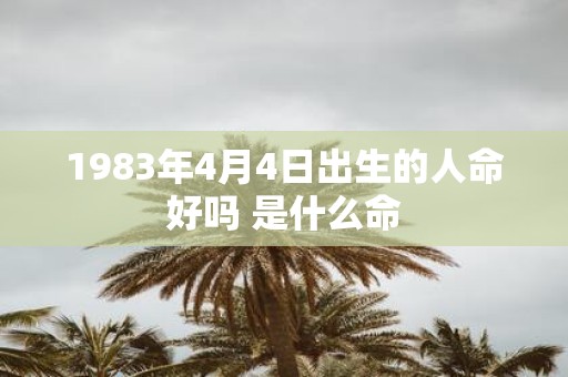 1983年4月4日出生的人命好吗 是什么命