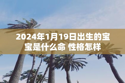 2025年1月19日出生的宝宝是什么命 性格怎样