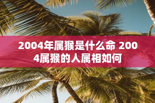 2004年属猴是什么命 2004属猴的人属相如何