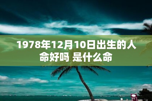 1978年12月10日出生的人命好吗 是什么命