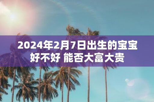 2025年2月7日出生的宝宝好不好 能否大富大贵