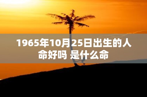 1965年10月25日出生的人命好吗 是什么命
