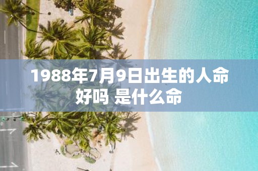 1988年7月9日出生的人命好吗 是什么命