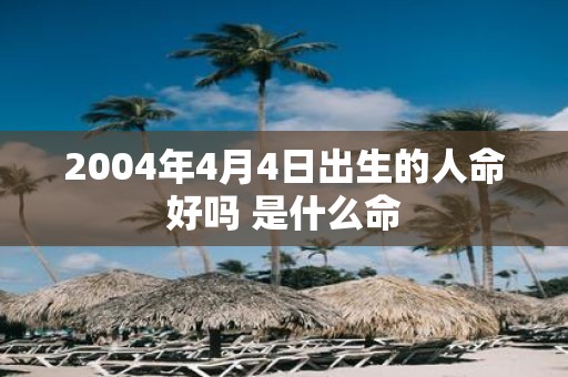 2004年4月4日出生的人命好吗 是什么命
