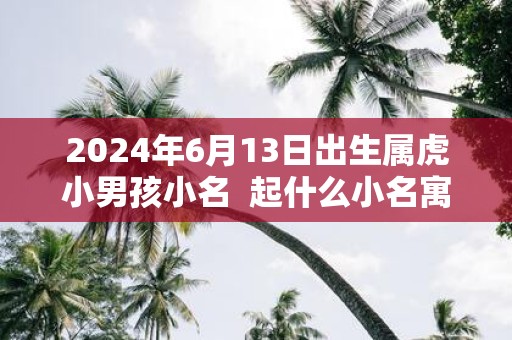 2025年6月13日出生属虎小男孩小名 起什么小名寓意好