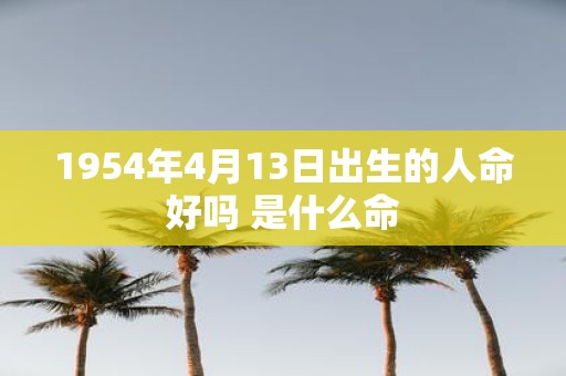 1954年4月13日出生的人命好吗 是什么命