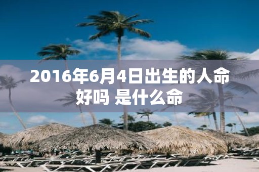 2016年6月4日出生的人命好吗 是什么命
