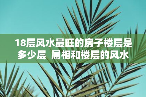 18层风水最旺的房子楼层是多少层 属相和楼层的风水家住几楼最旺你