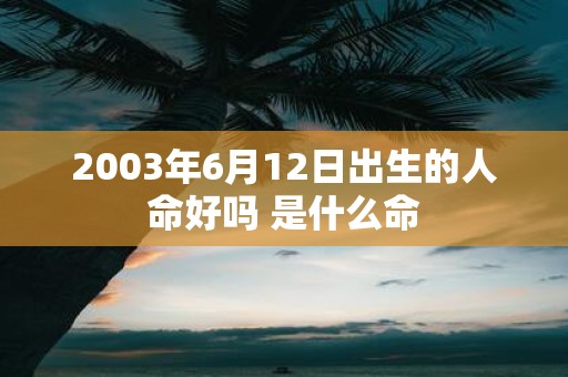2003年6月12日出生的人命好吗 是什么命