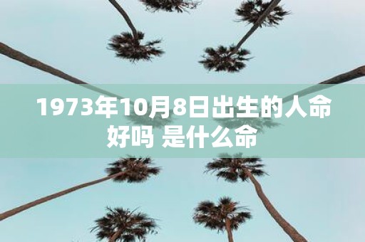 1973年10月8日出生的人命好吗 是什么命