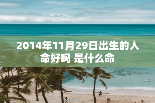 2014年11月29日出生的人命好吗 是什么命