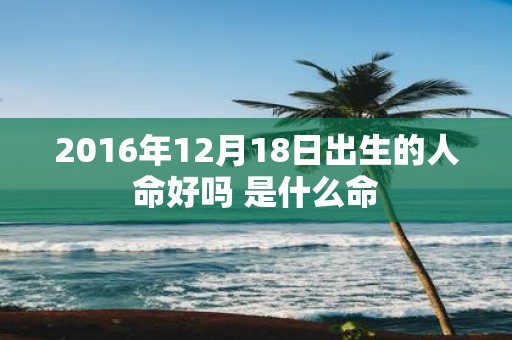 2016年12月18日出生的人命好吗 是什么命