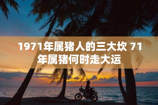 1971年属猪人的三大坎 71年属猪何时走大运