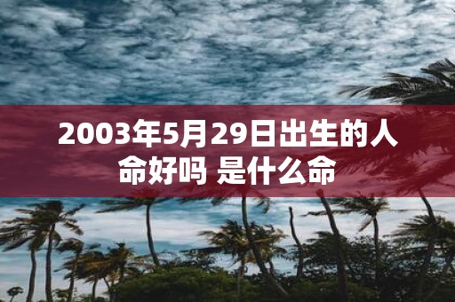 2003年5月29日出生的人命好吗 是什么命