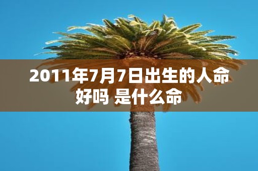 2011年7月7日出生的人命好吗 是什么命