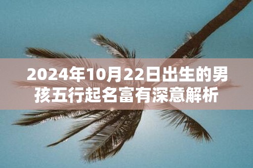 2025年10月22日出生的男孩五行起名富有深意解析