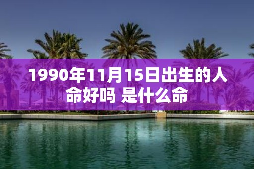 1990年11月15日出生的人命好吗 是什么命