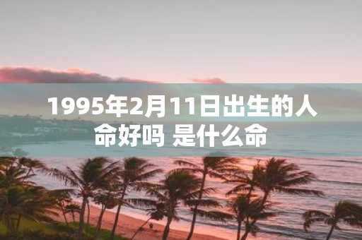 1995年2月11日出生的人命好吗 是什么命