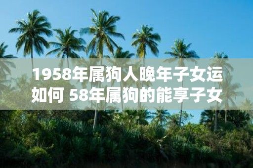1958年属狗人晚年子女运如何 58年属狗的能享子女福吗