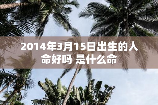2014年3月15日出生的人命好吗 是什么命