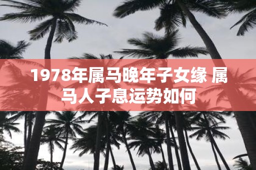 1978年属马晚年子女缘 属马人子息运势如何