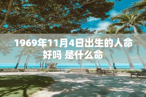 1969年11月4日出生的人命好吗 是什么命