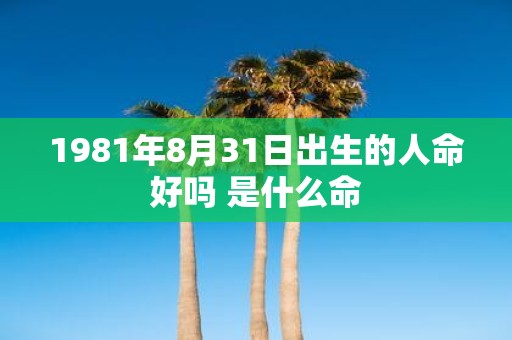 1981年8月31日出生的人命好吗 是什么命