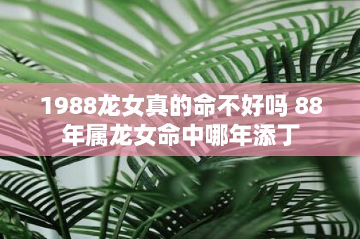 1988龙女真的命不好吗 88年属龙女命中哪年添丁
