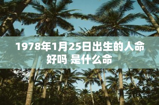1978年1月25日出生的人命好吗 是什么命