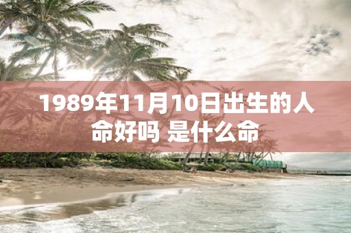 1989年11月10日出生的人命好吗 是什么命