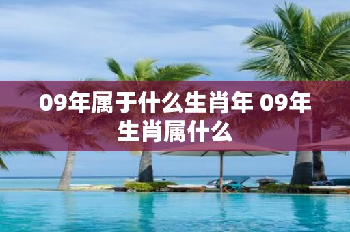 09年属于什么生肖年 09年生肖属什么