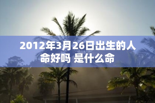 2012年3月26日出生的人命好吗 是什么命