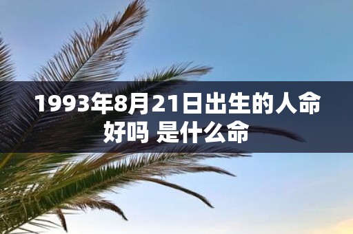 1993年8月21日出生的人命好吗 是什么命