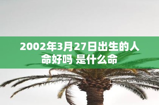 2002年3月27日出生的人命好吗 是什么命