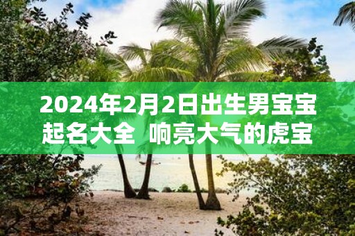 2025年2月2日出生男宝宝起名大全 响亮大气的虎宝宝名字
