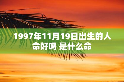 1997年11月19日出生的人命好吗 是什么命