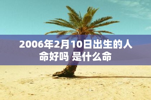2006年2月10日出生的人命好吗 是什么命