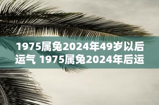 1975属兔2025年49岁以后运气 1975属兔2025年后运势如何
