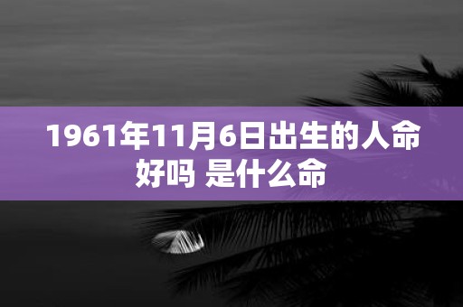 1961年11月6日出生的人命好吗 是什么命